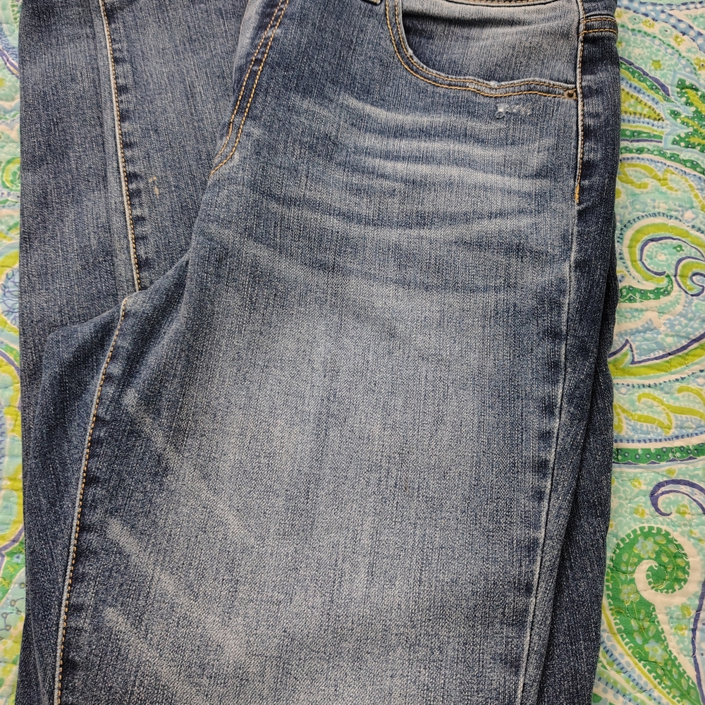 Time and Tru Medium Blue Skinny Jeans